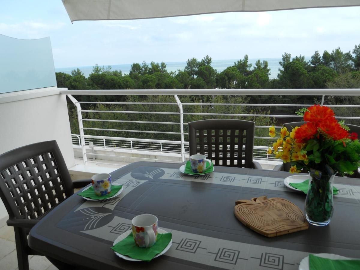פינטו Cerrano Park Resort חדר תמונה